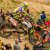 MXGP/MX2 Loket 2015