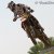 MS MX3 - Slovensko 2012
